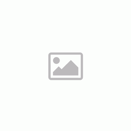 Apple 10,9" iPad Air 5 Cellular 256GB - Asztroszürke