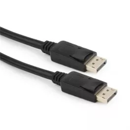 DisplayPort